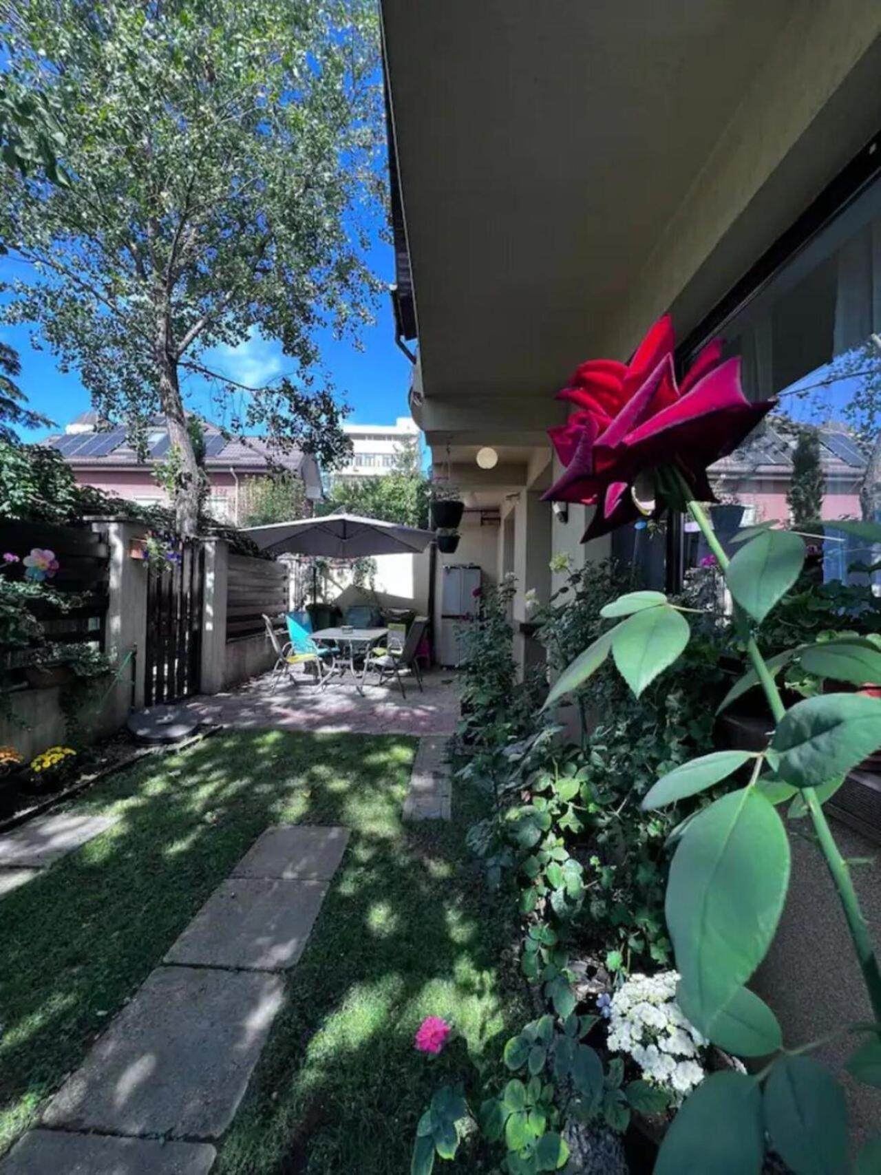 Vila Luminoasa Cu Curte Privata Bukarest Exteriör bild
